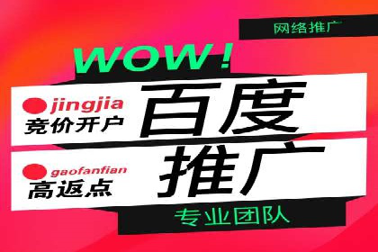 SEM专员案例：跨平台广告投放策略